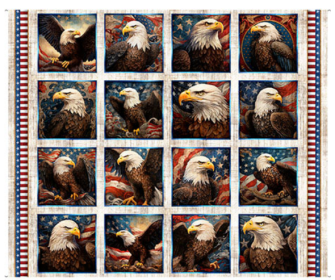 American Eagle Picture Patches Panel